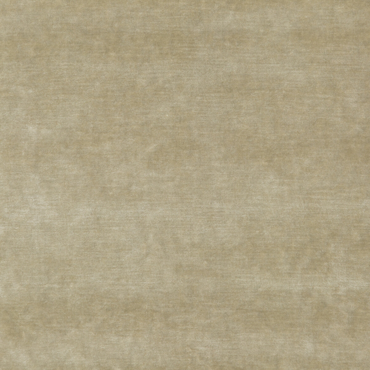 347811060-queens-velvet-oyster-kravet-couture - KRAVET COUTURE Fabric
