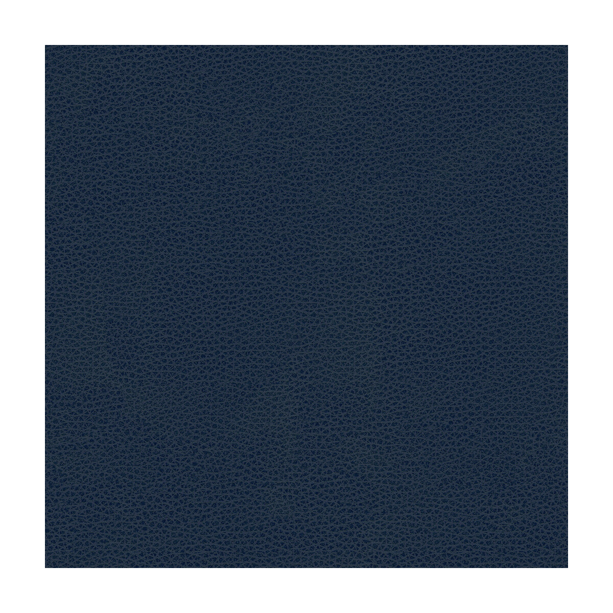 bess50-kravet-contract-bess-5-kravet-contract - KRAVET CONTRACT Fabric