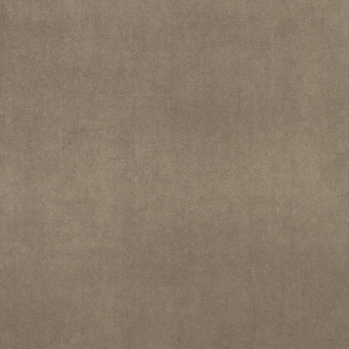 f075386cac0-alvar-oak-clarke-and-clarke - CLARKE AND CLARKE Fabric