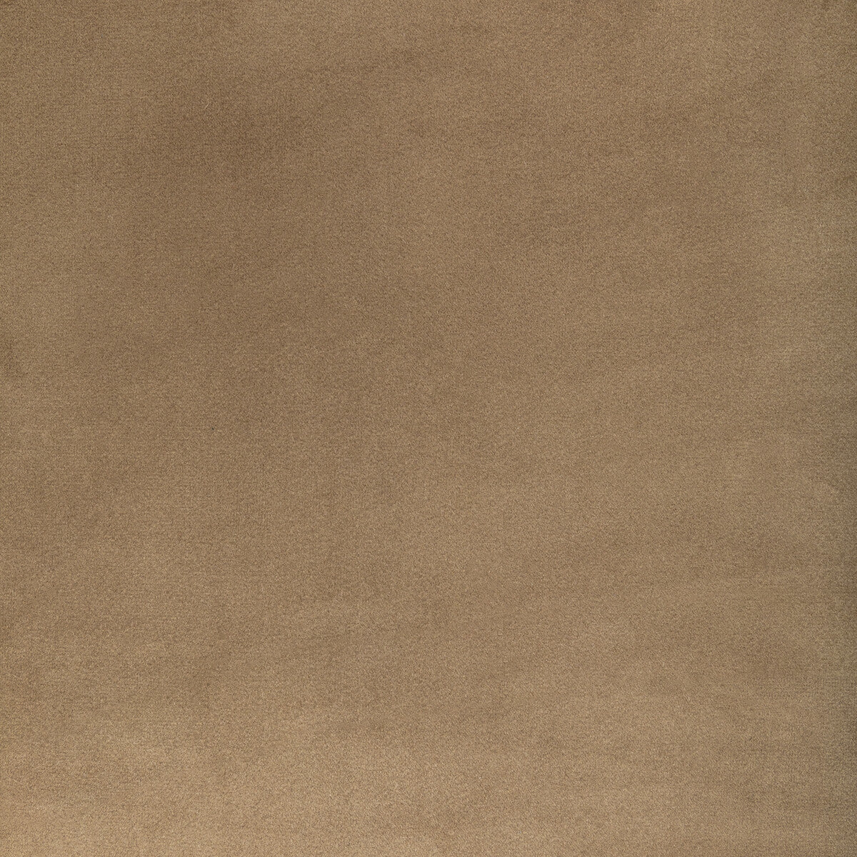 kw-100656160-rocco-velvet-dune-kravet-contract