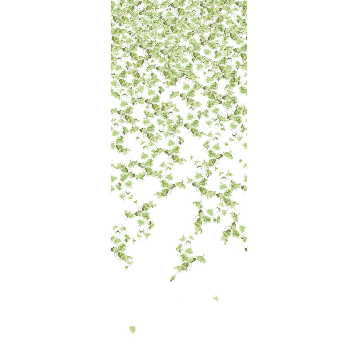 w357830-falling-ginkgo-summer-kravet-couture - KRAVET COUTURE Wallpaper