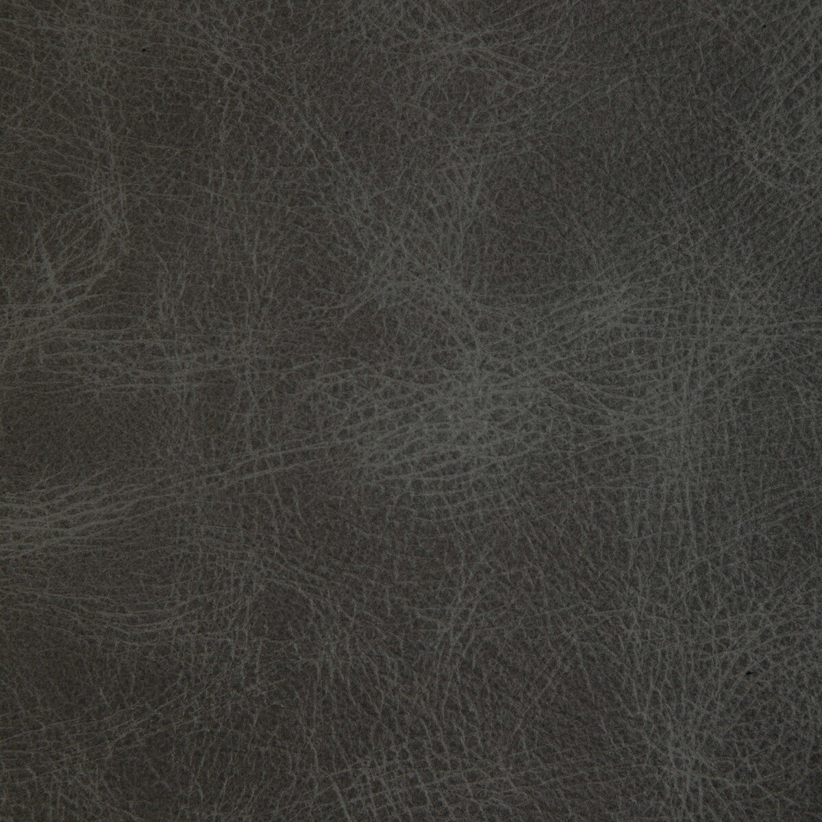 l-ovinestorm0-kravet-design-l-ovine-storm-kravet-design