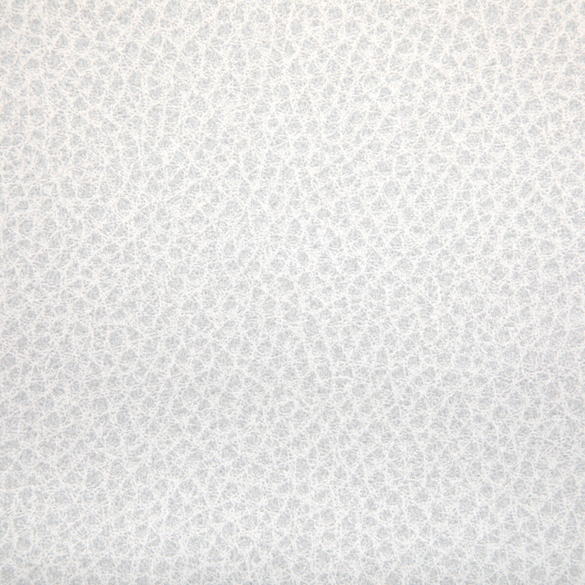 woolf1010-woolf-fossil-kravet-contract