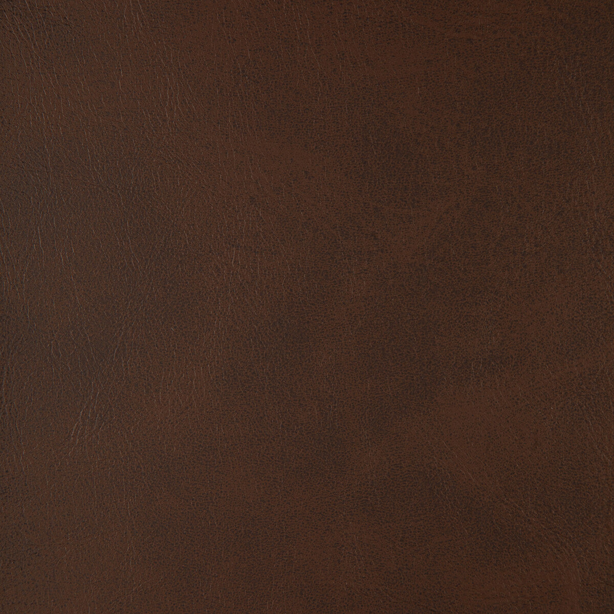 alum660-kravet-design-alum-66-kravet-design