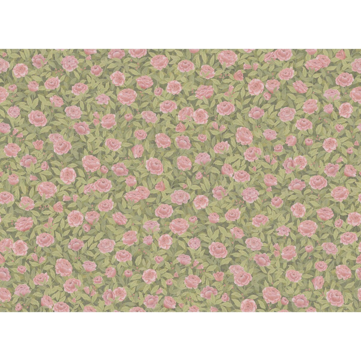 f1212009cs0-idyll-roses-linen-blush-cole-son