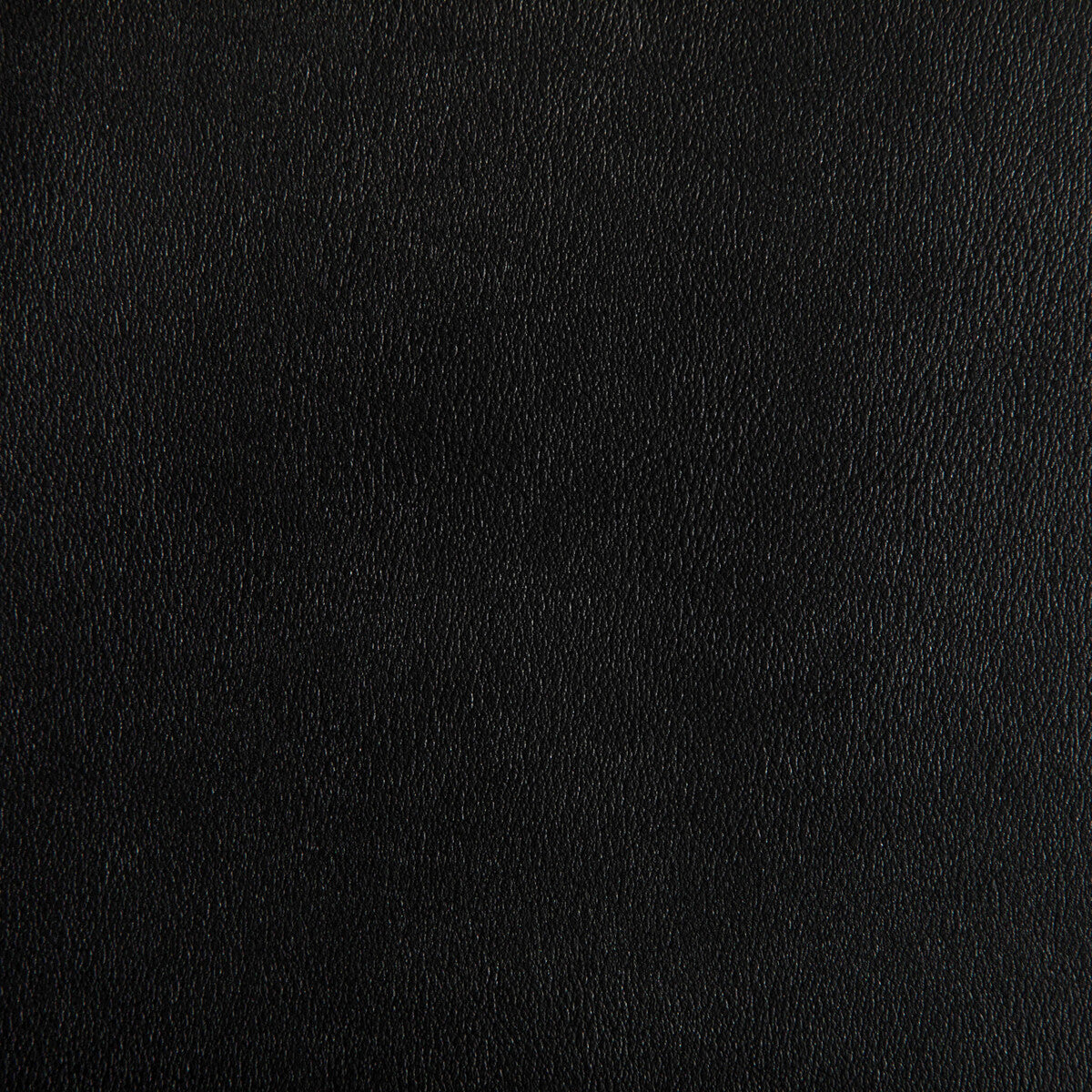 agatha8110-agatha-iron-kravet-contract