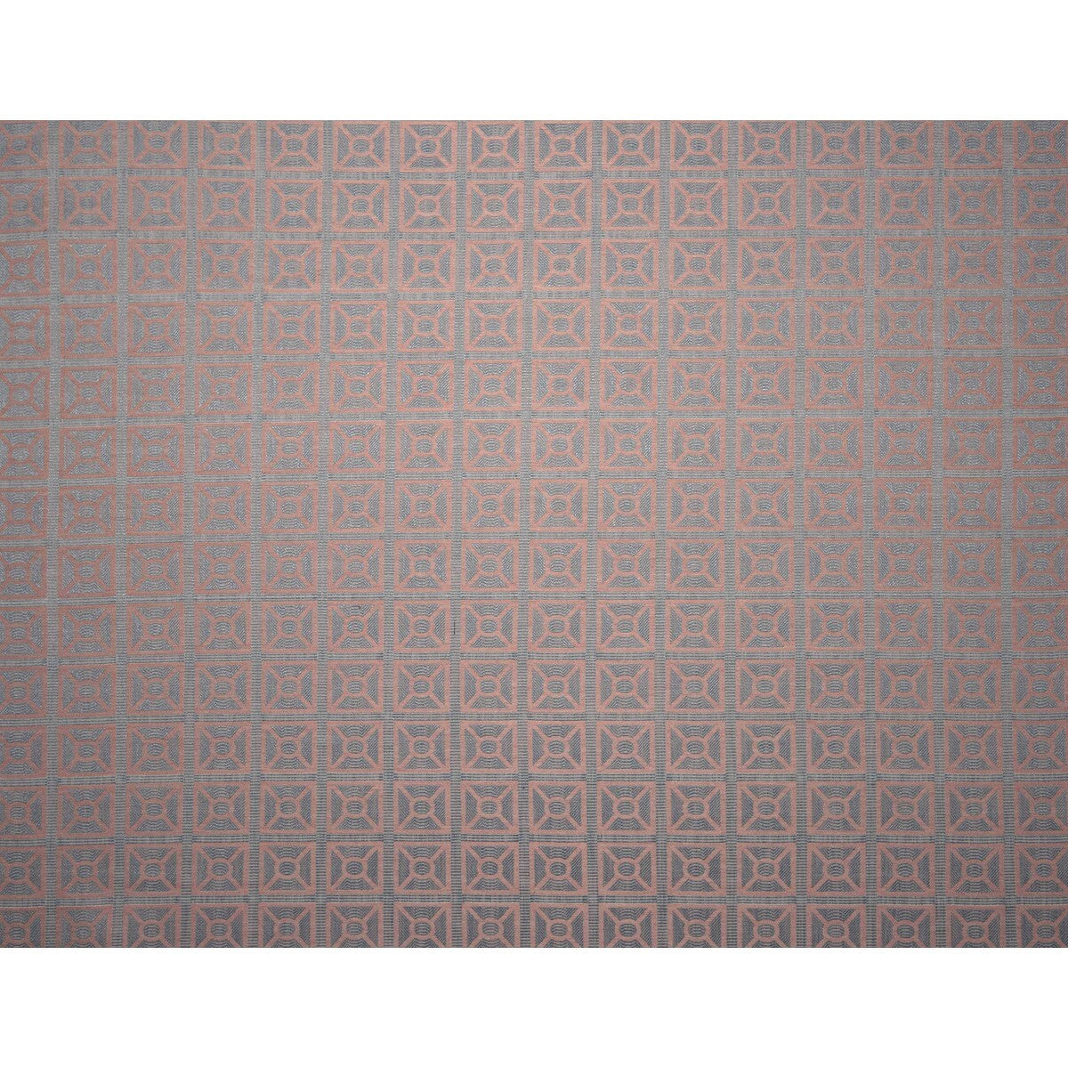 gdt539020-arabica-azulrosa-gaston-y-daniela