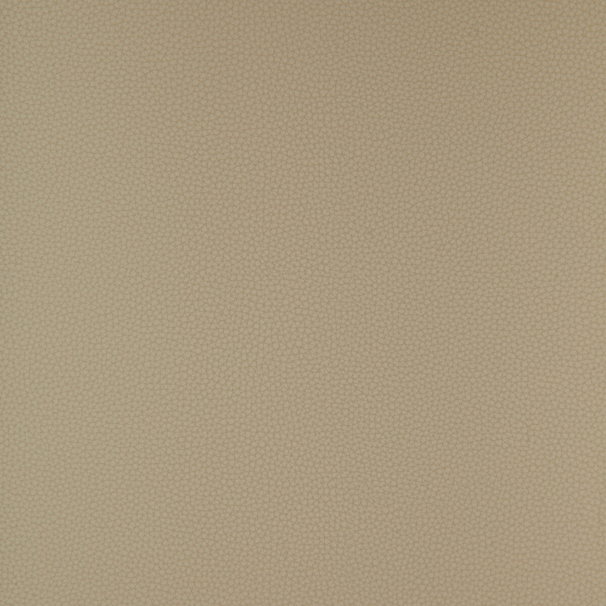 bind110-kravet-design-bind-11-kravet-design
