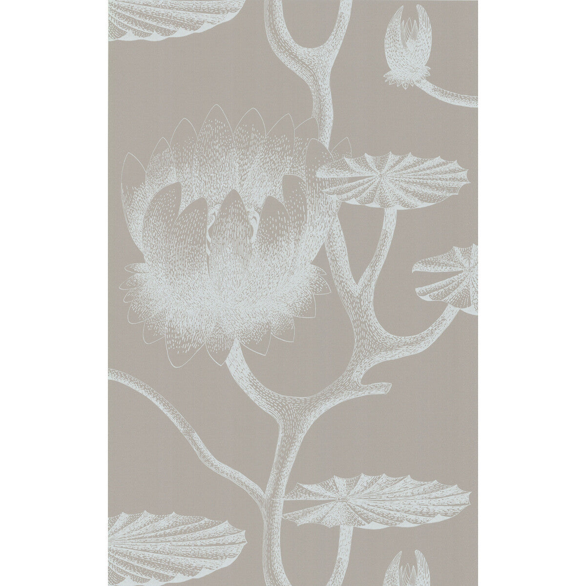 693110cs0-lily-whitegrey-cole-son - COLE & SON Wallpaper