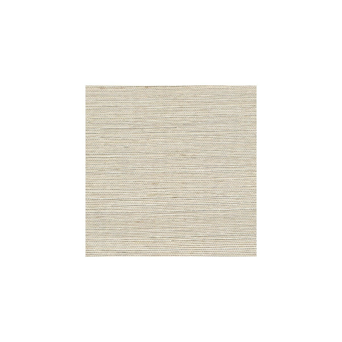 wss4503wt0-metallic-sisal-parchment-winfield-thybony