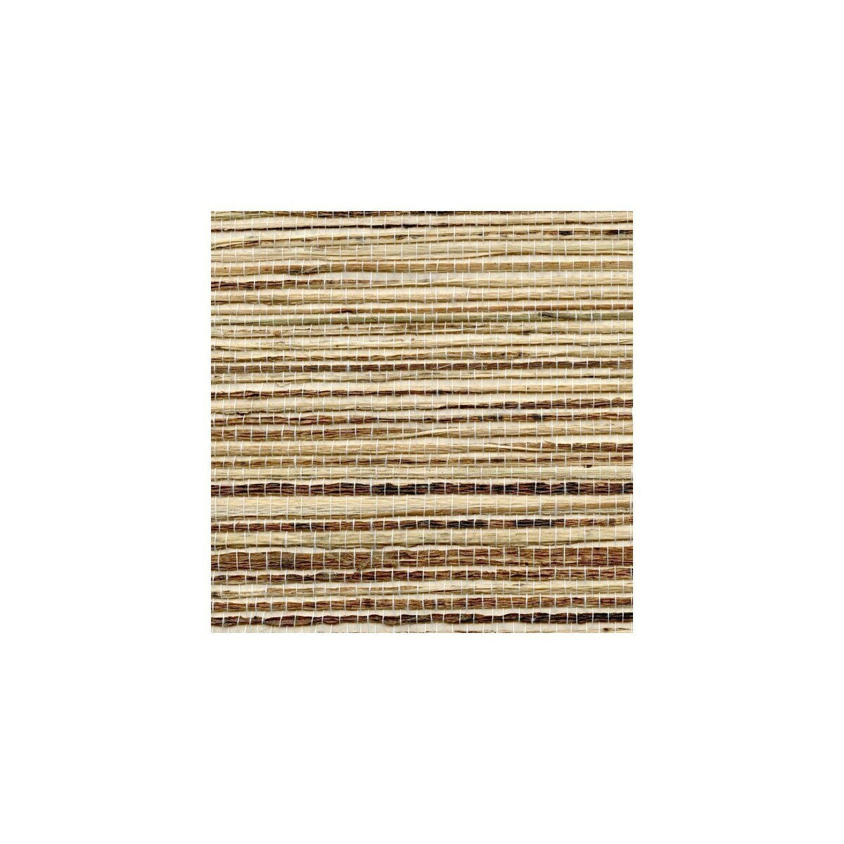 wnr1126wt0-petite-bengali-winfield-thybony - WINFIELD THYBONY Wallpaper