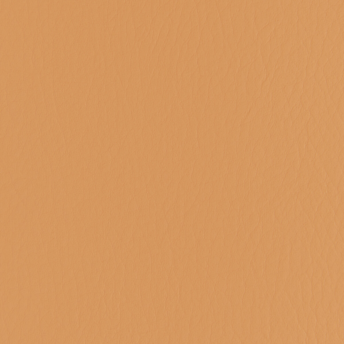 forza1120-forza-papaya-kravet-contract