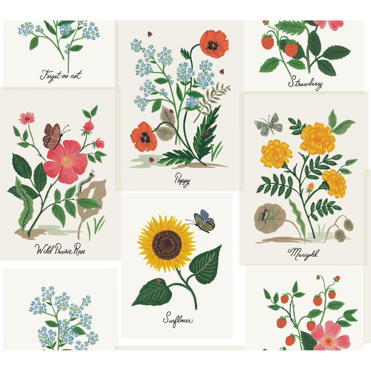 w3947730-kravet-design-w3947-73-kravet-design - KRAVET DESIGN Wallpaper