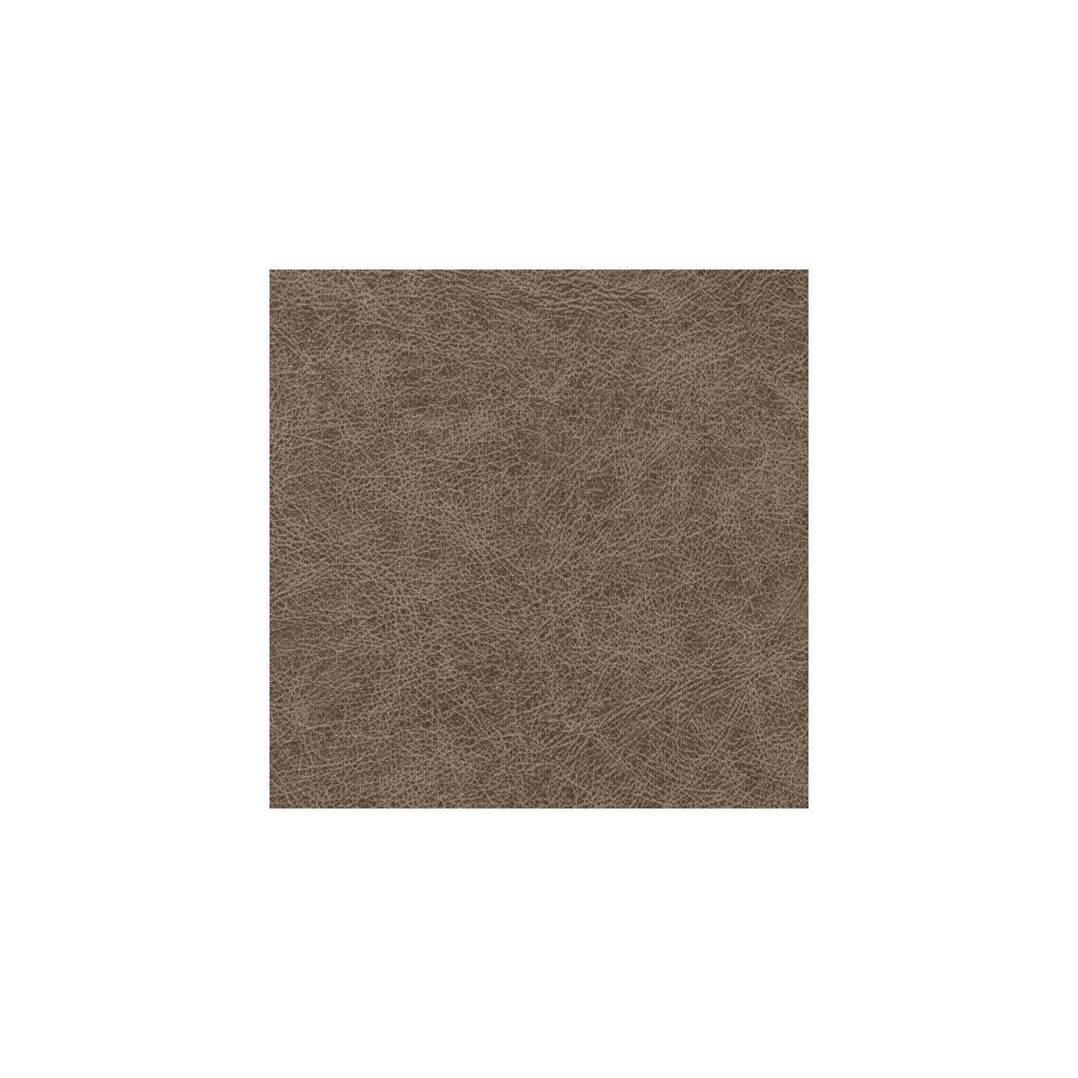 wpw1120wt0-enduring-bronco-winfield-thybony - WINFIELD THYBONY Wallpaper