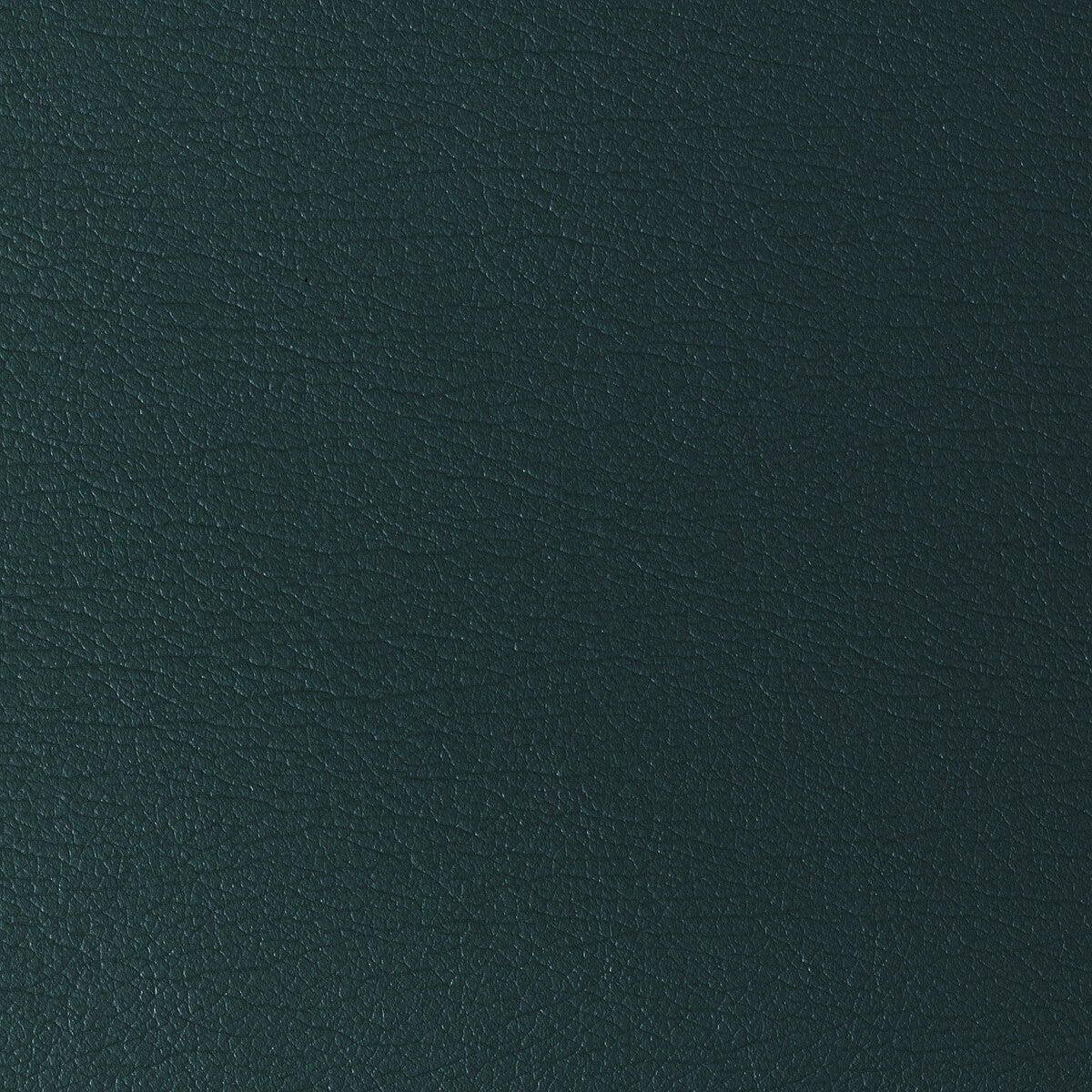 gato1350-kravet-design-gato-135-kravet-design