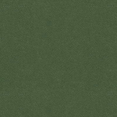 br-897784560-autun-mohair-velvet-bayleaf-brunschwig-fils - BRUNSCHWIG & FILS Fabric
