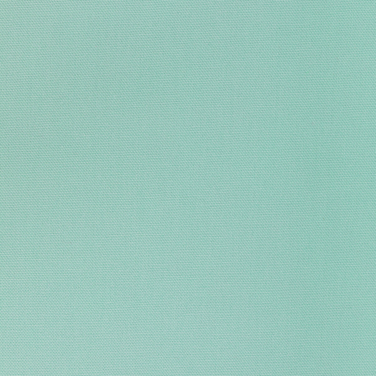 366561130-kravet-basics-36656-113 - KRAVET BASICS Fabric