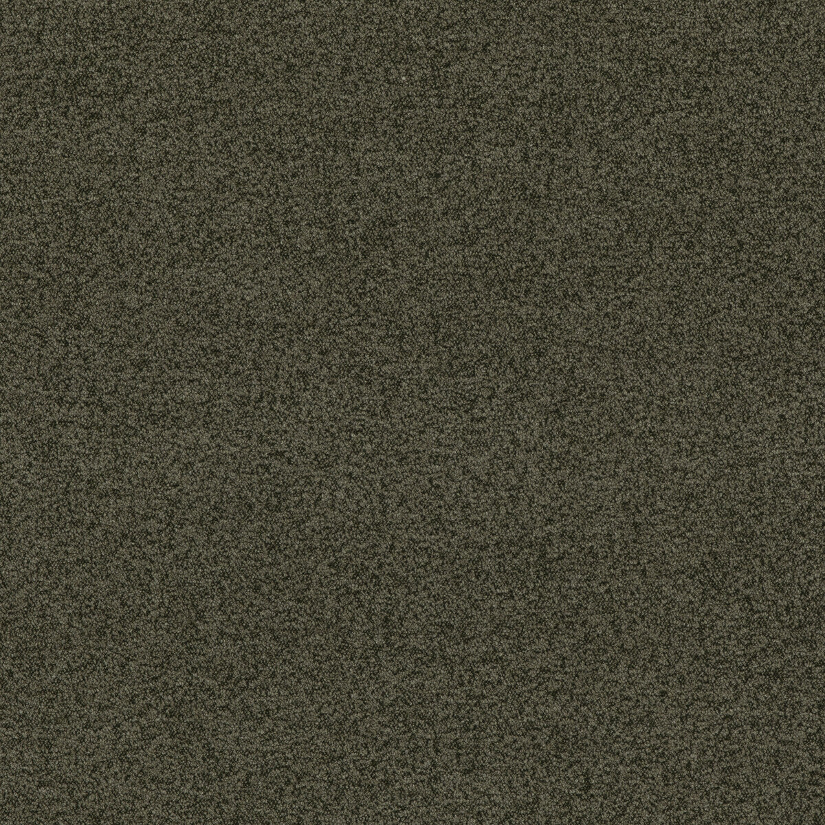bf109657940-baker-house-boucle-forest-g-p-j-baker - G P & J BAKER Fabric