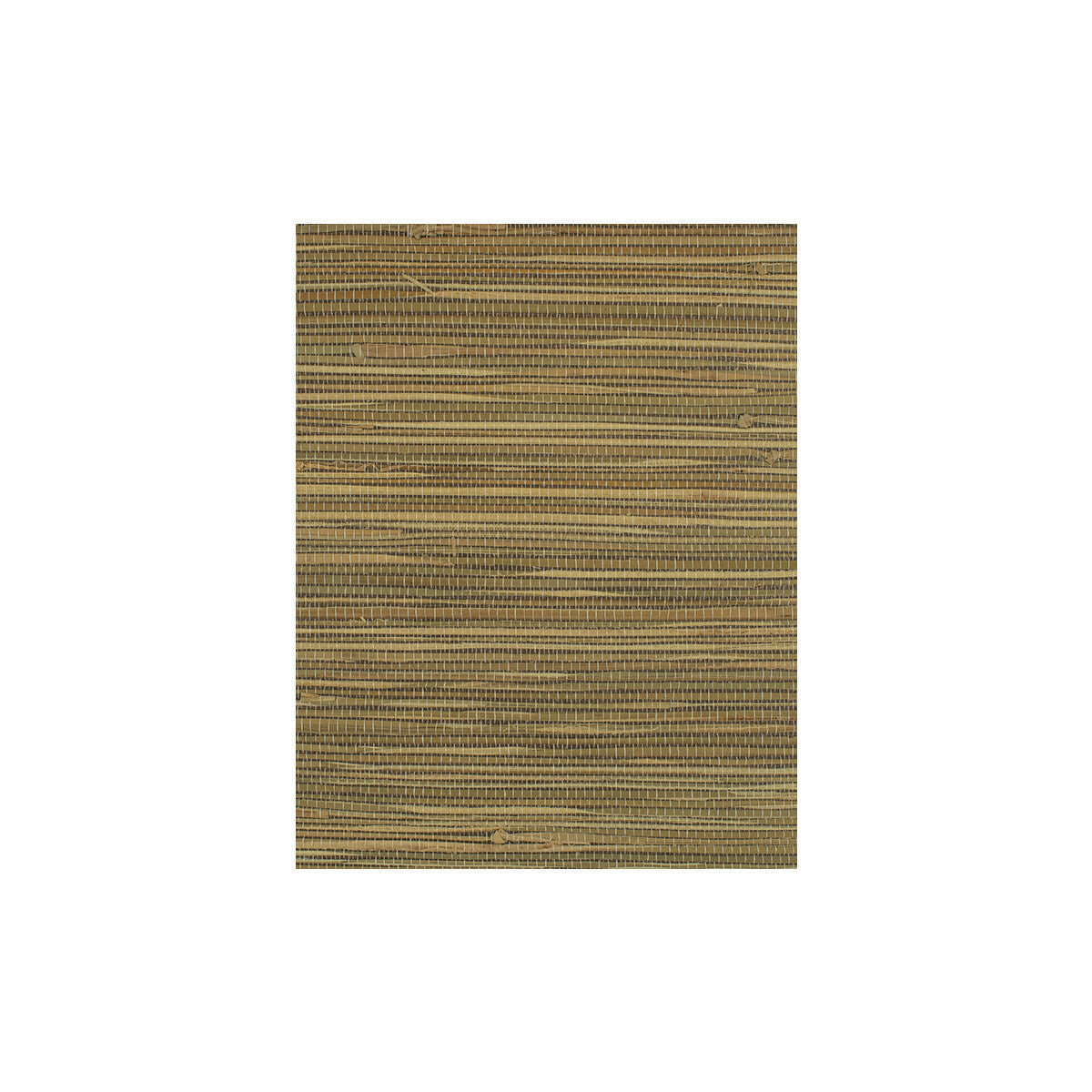 wiw2562wt0-corenwall-topaz-winfield-thybony - WINFIELD THYBONY Wallpaper