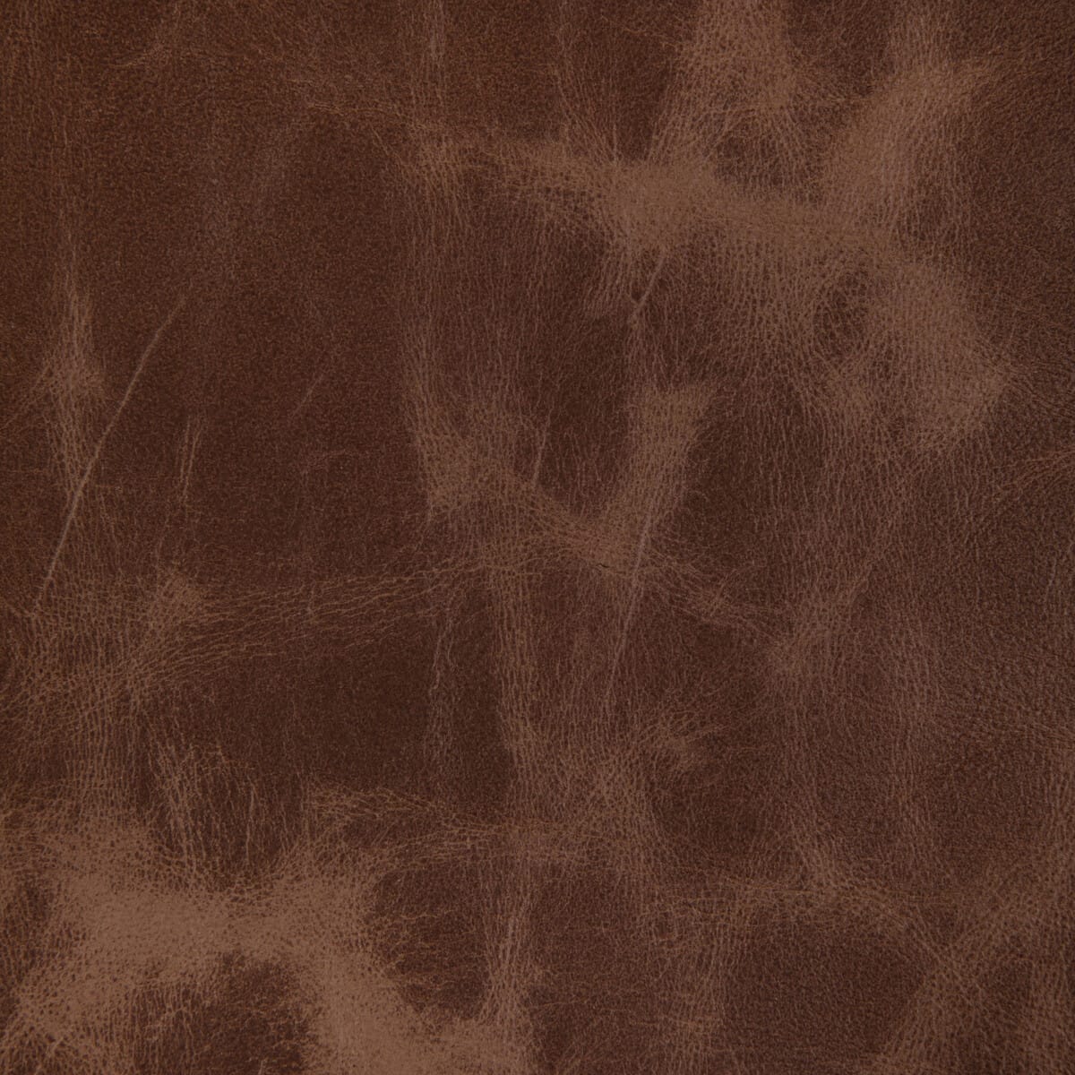 l-ovinecinnamon0-l-ovine-cinnamon-kravet-design