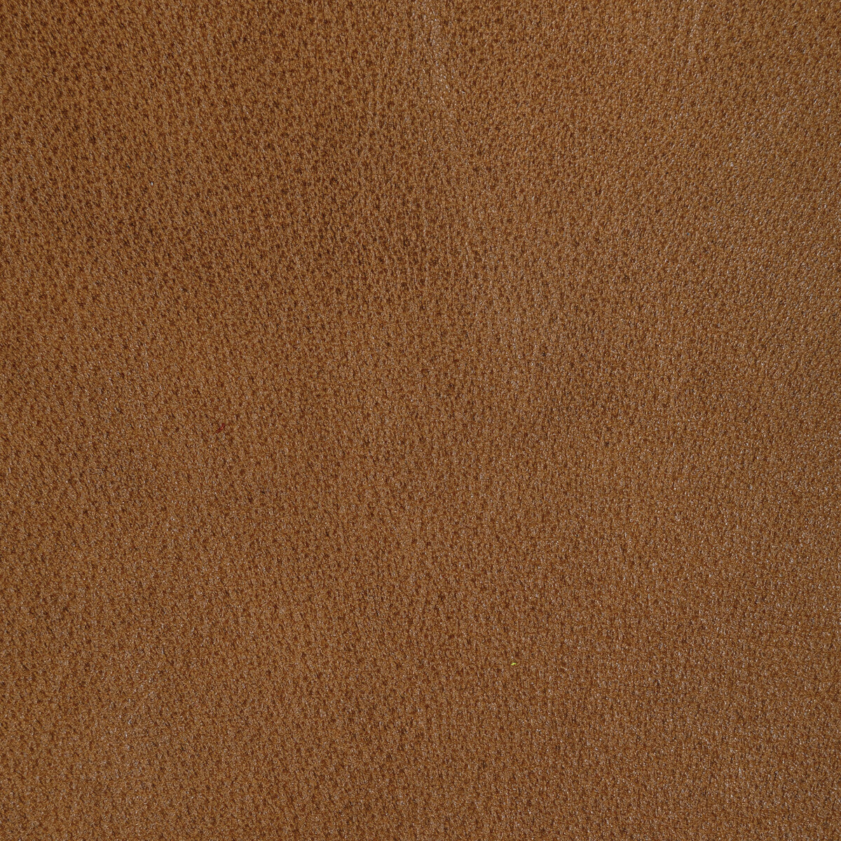 l-reinchai0-kravet-design-l-rein-chai-kravet-design