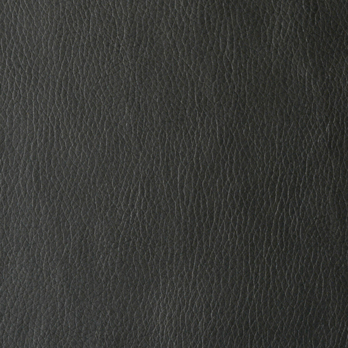valera80-valera-noir-kravet-contract - KRAVET CONTRACT Fabric