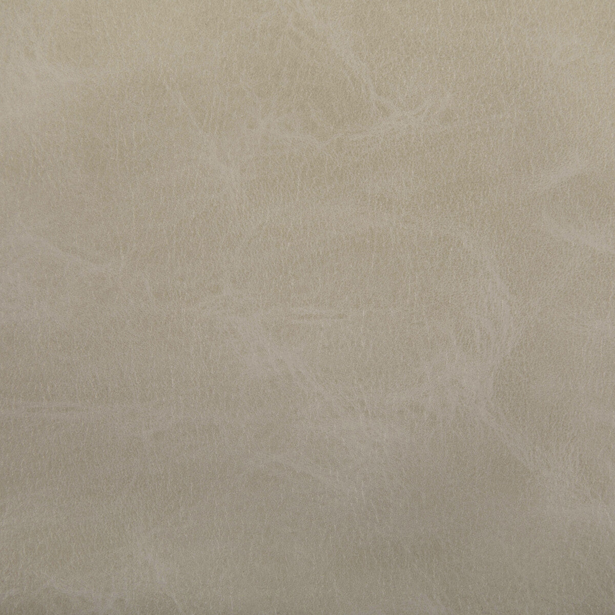 toni1060-toni-dune-kravet-contract - KRAVET CONTRACT Fabric