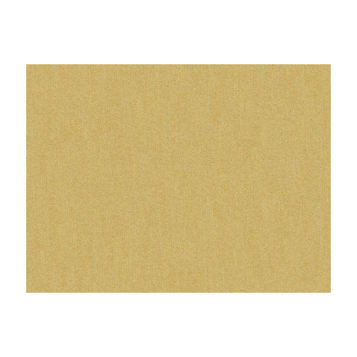 jag-500206110-shots-vicuna-brunschwig-fils