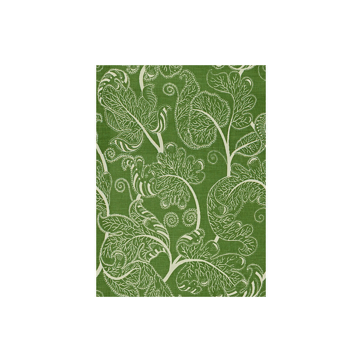 801410330-sevenoaks-leaf-brunschwig-fils - BRUNSCHWIG & FILS Fabric