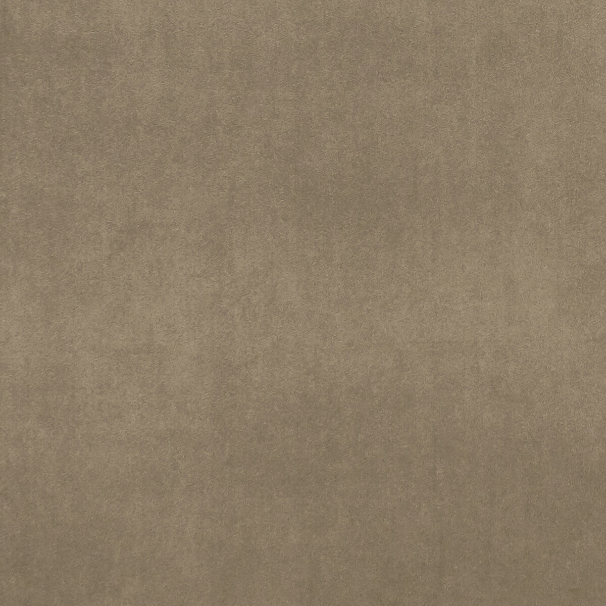 f075324cac0-alvar-bark-clarke-and-clarke - CLARKE AND CLARKE Fabric