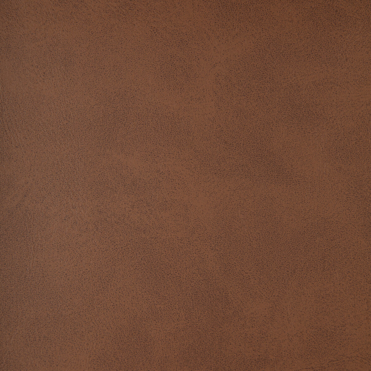 alum60-kravet-design-alum-6-kravet-design