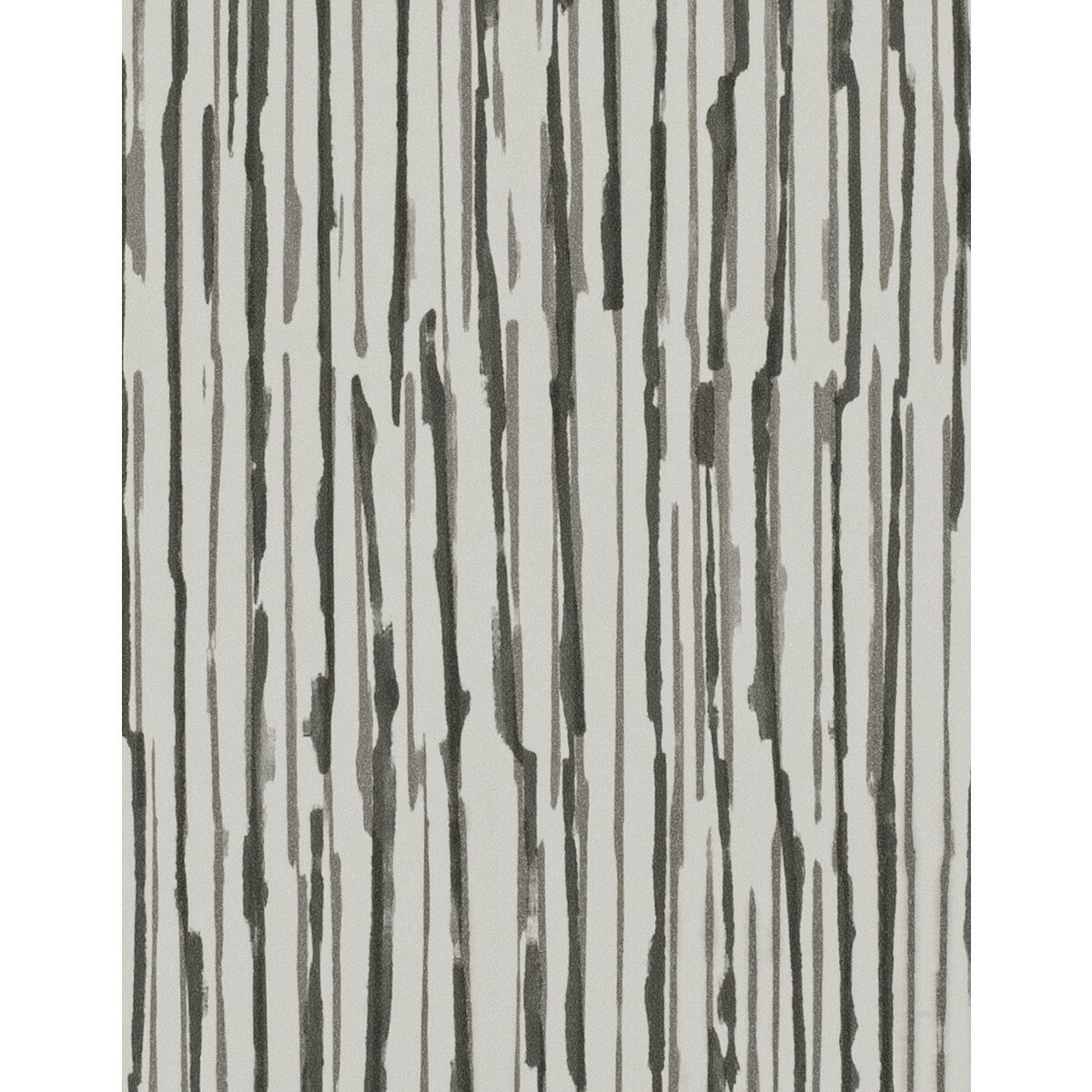 wtn1026wt0-wave-graphite-winfield-thybony - WINFIELD THYBONY Wallpaper