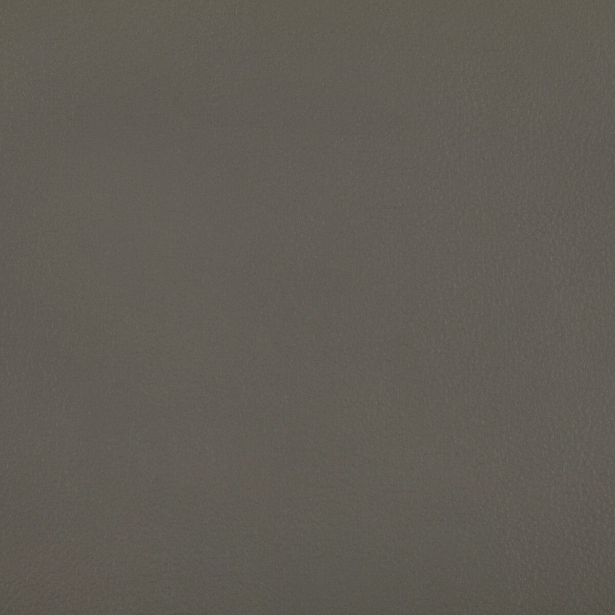 rand520-rand-greystone-kravet-contract