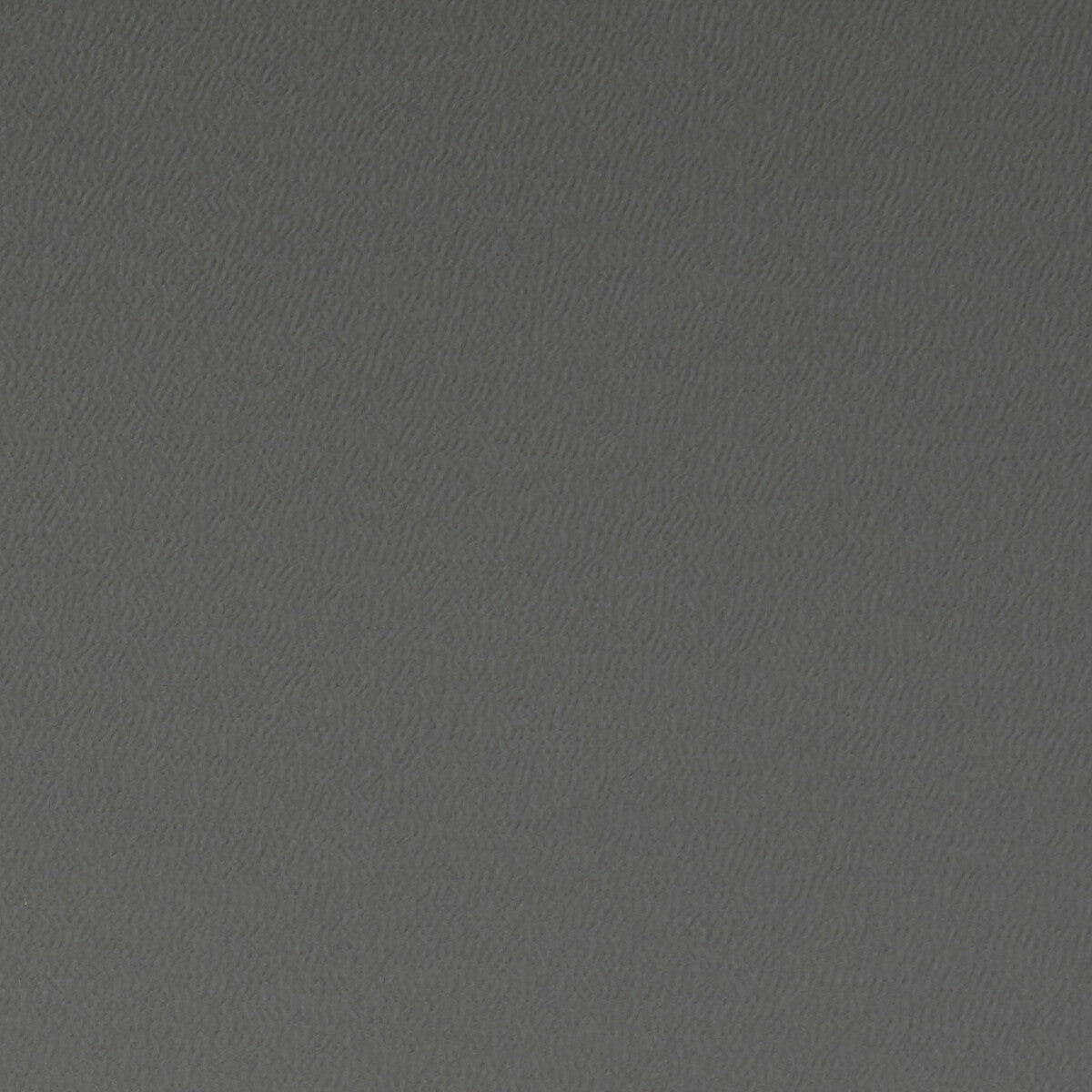 f106205cac0-spectrum-charcoal-clarke-and-clarke - CLARKE AND CLARKE Fabric