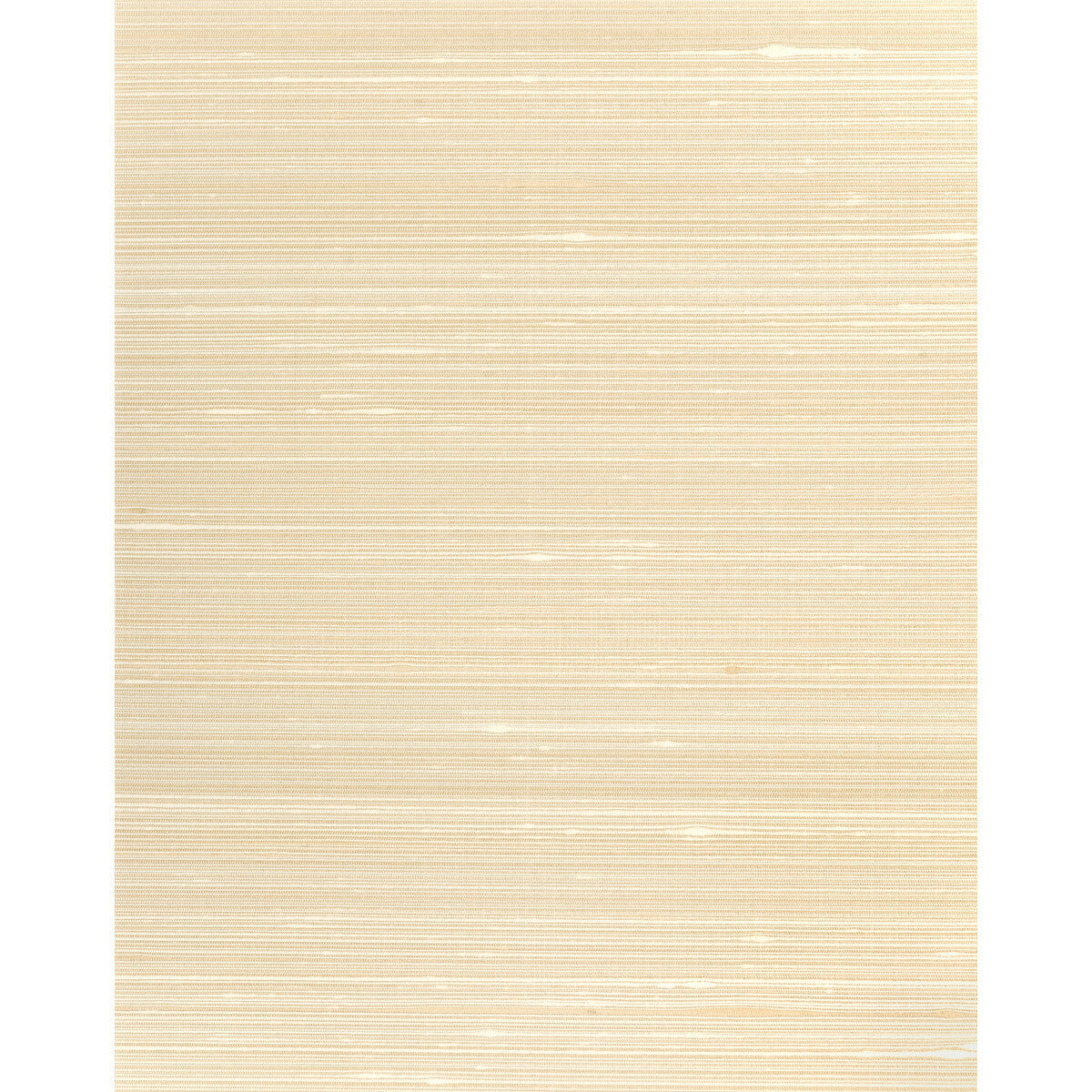 wns5525wt0-grayson-seashell-winfield-thybony - WINFIELD THYBONY Wallpaper