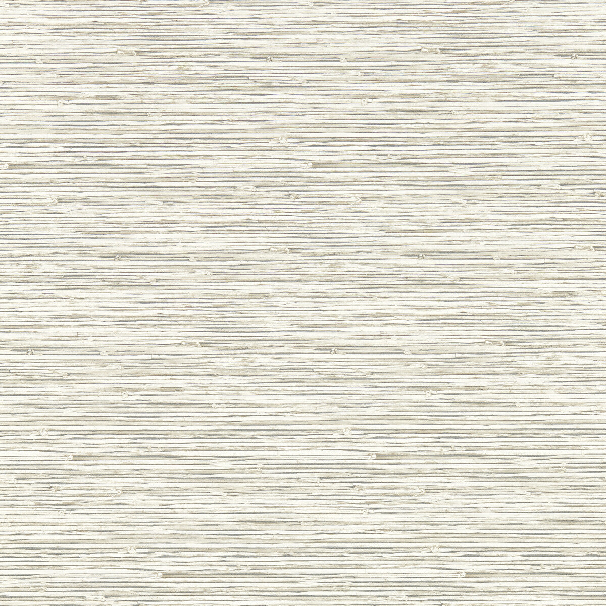 w019205cac0-xan-parchment-wp-clarke-and-clarke