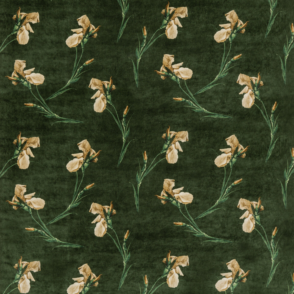 bp1081920-baker-iris-emerald-g-p-j-baker - G P & J BAKER Fabric