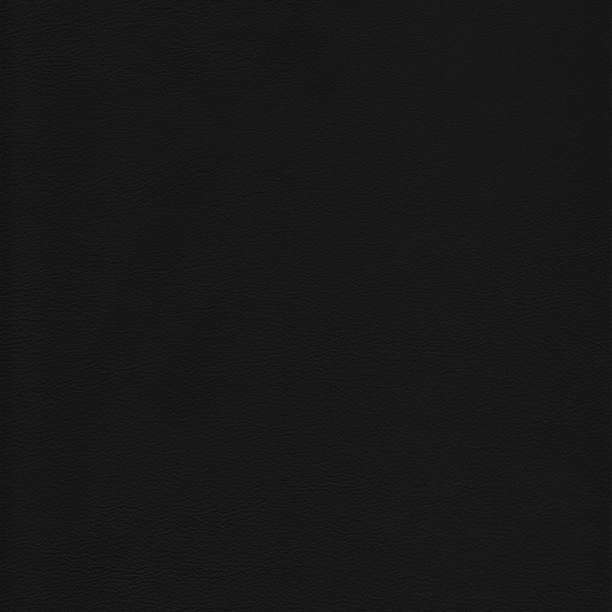 l-howdynoir0-kravet-design-l-howdy-noir-kravet-design