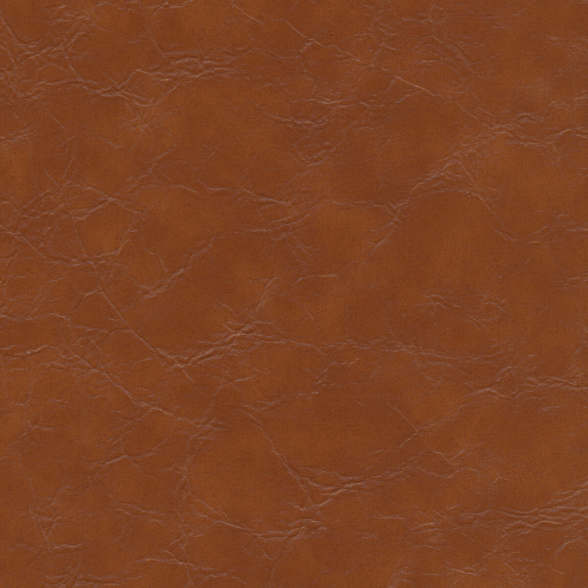 equine6060-kravet-design-equine-606-kravet-design - KRAVET DESIGN Fabric