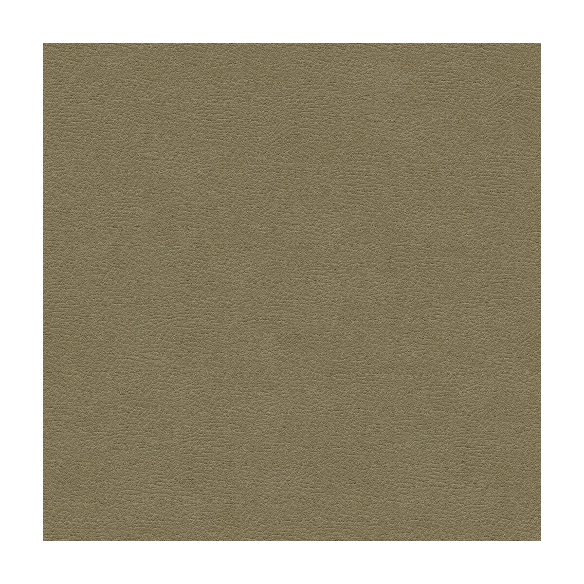 grana110-kravet-design-grana-11-kravet-design
