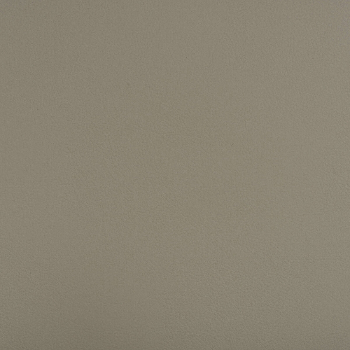 beech11010-kravet-design-beech-1101-kravet-design