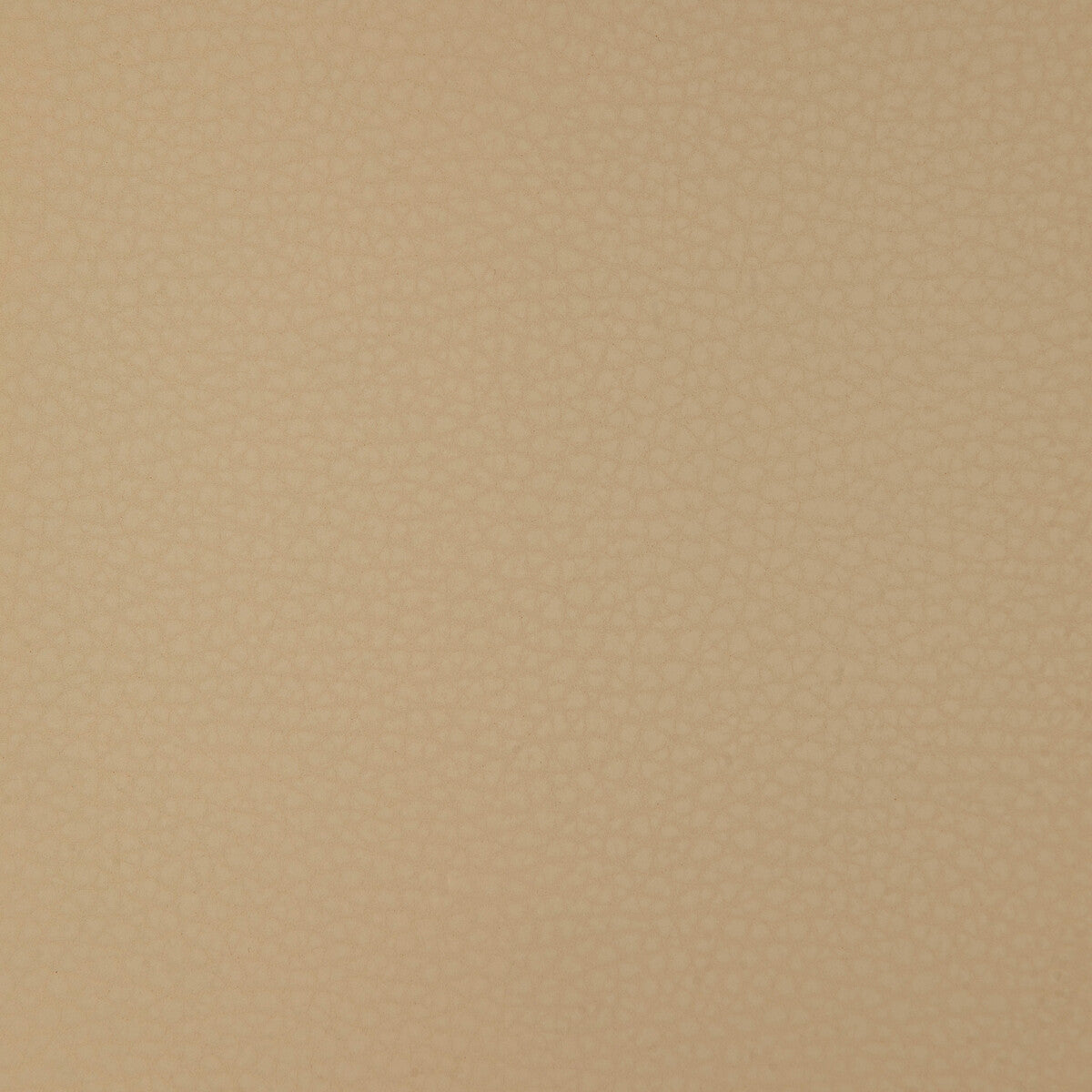 areni160-kravet-design-areni-16-kravet-design