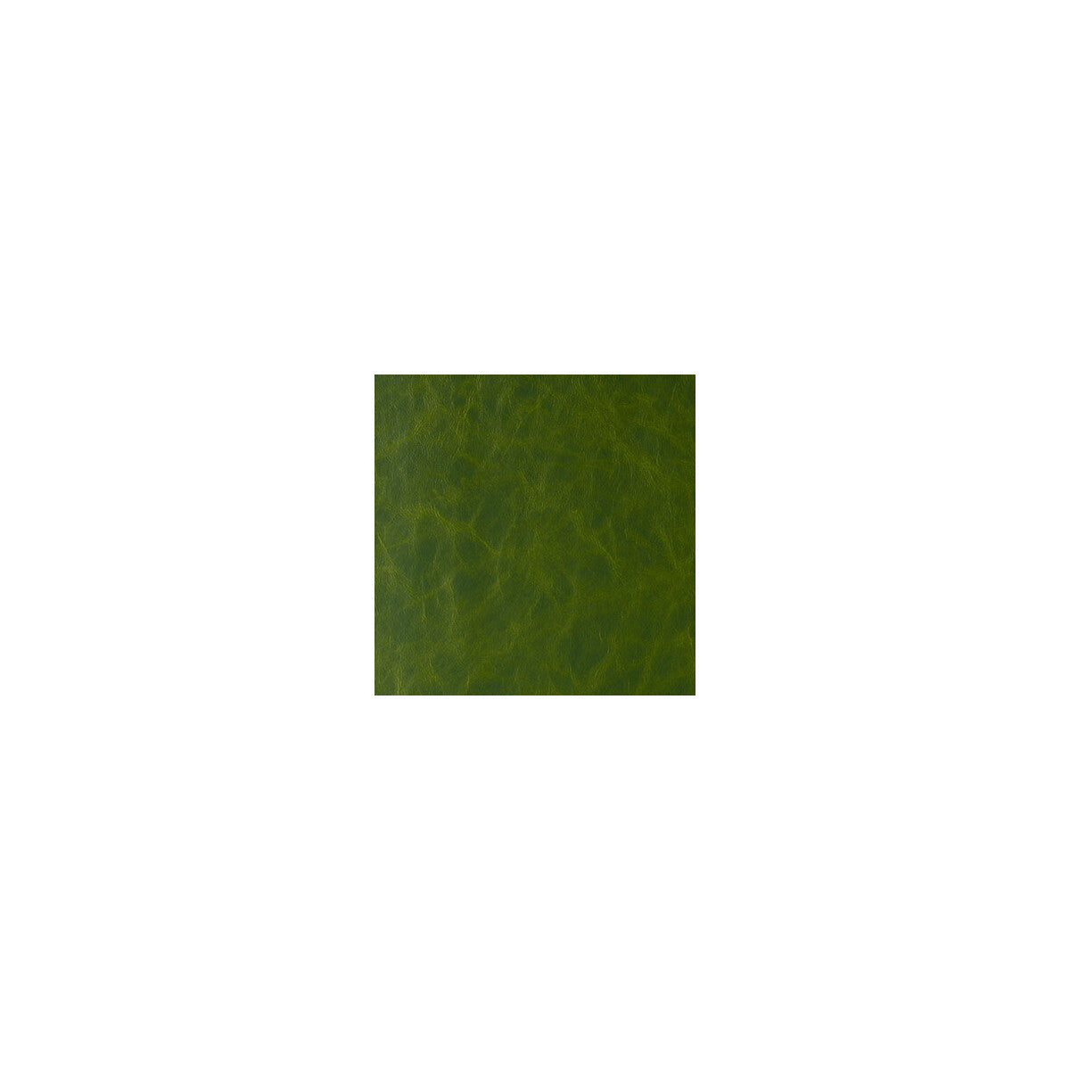 randwick30-randwick-jungle-love-kravet-design