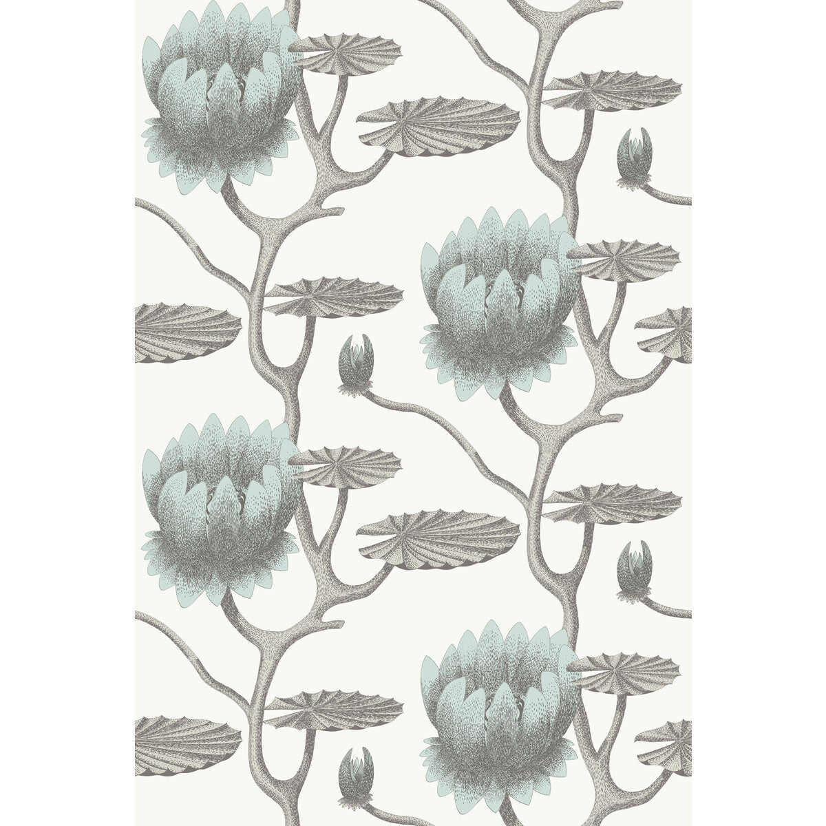 954022cs0-summer-lily-aquawhite-cole-son - COLE & SON Wallpaper