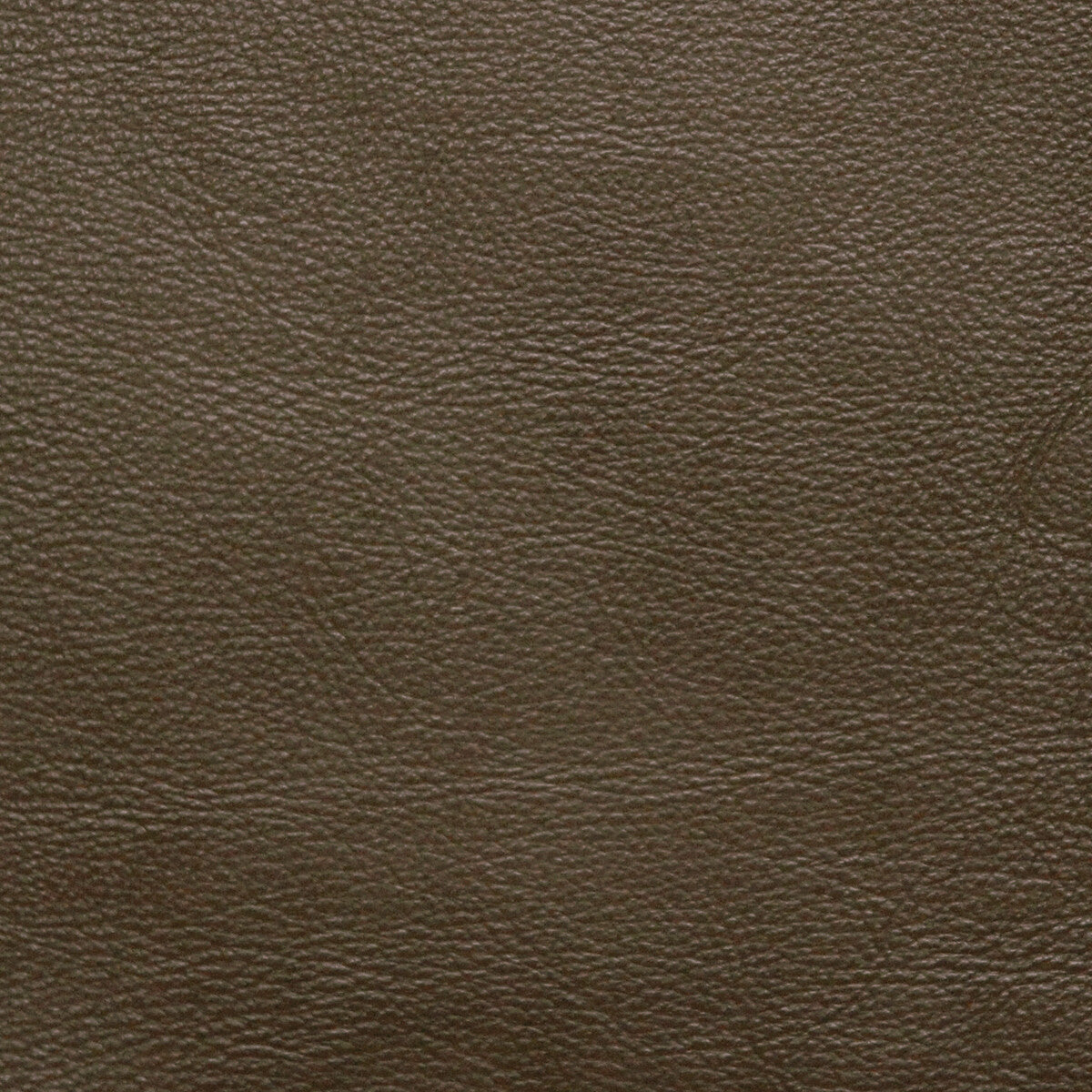 l-portofinsage0-kravet-design-l-portofin-sage-kravet-design