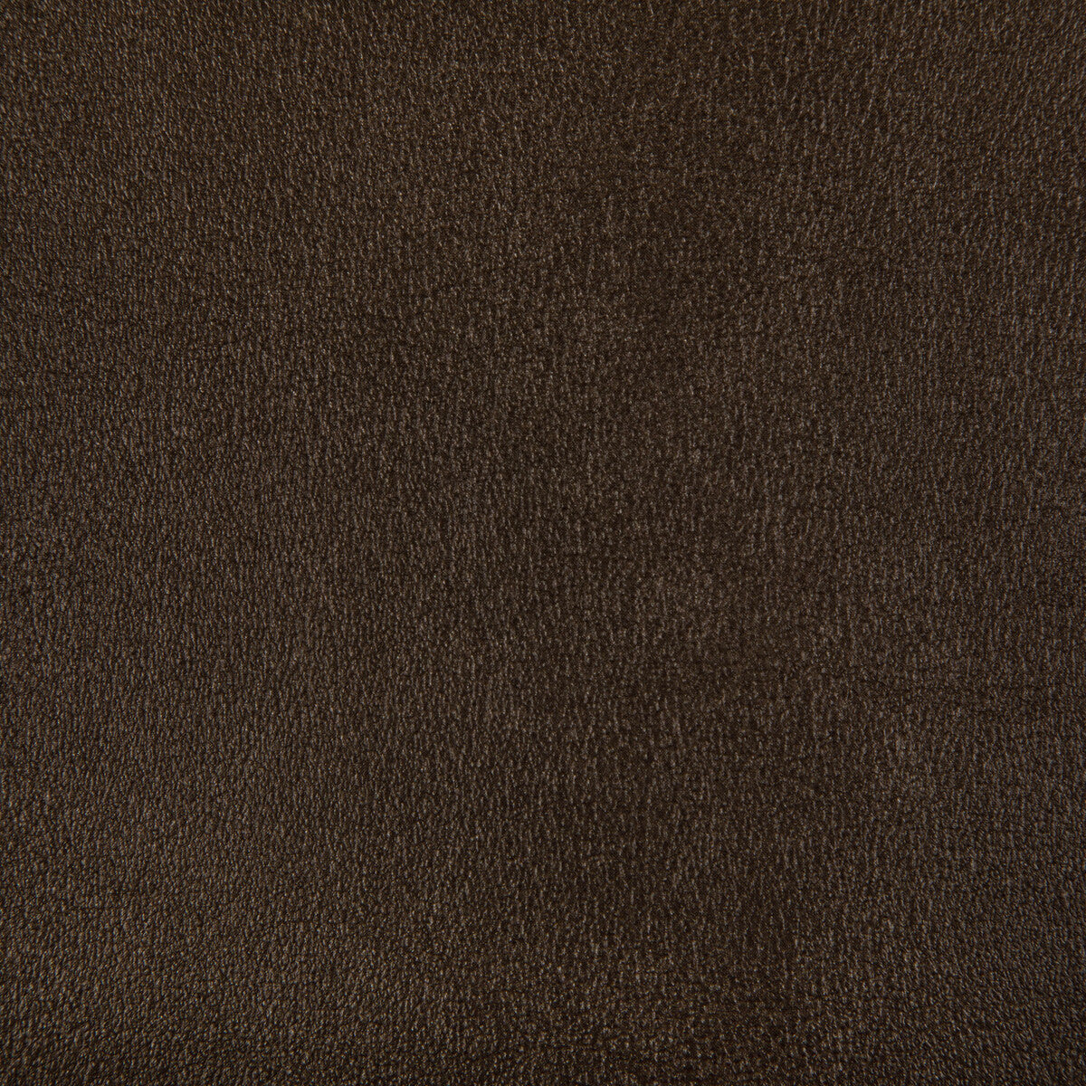 agatha6240-agatha-bronze-kravet-contract