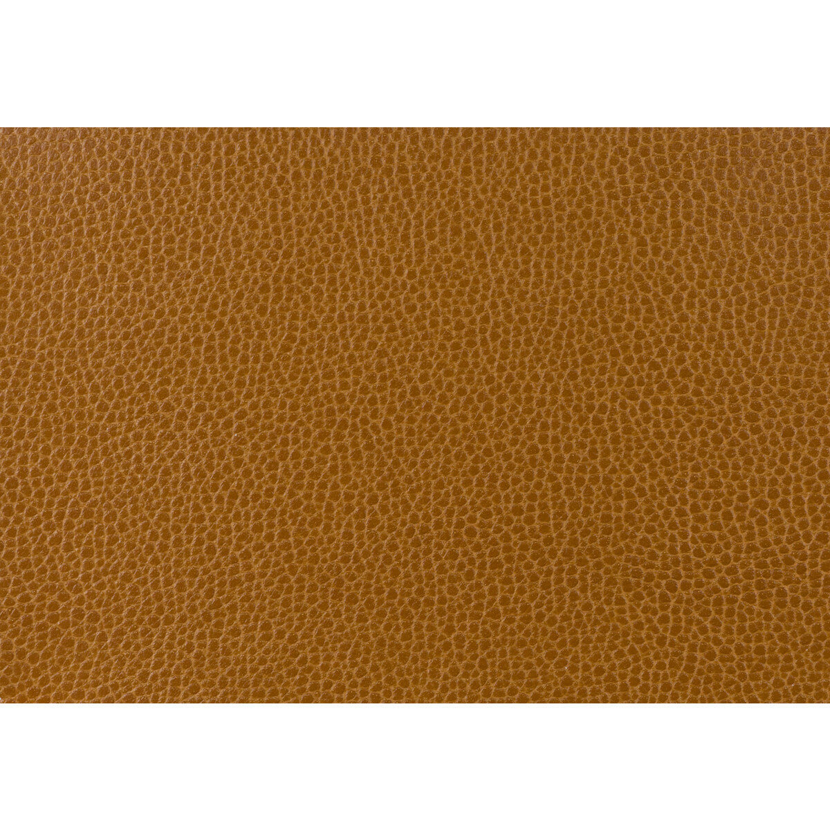 gillian240-kravet-design-gillian-24-kravet-design