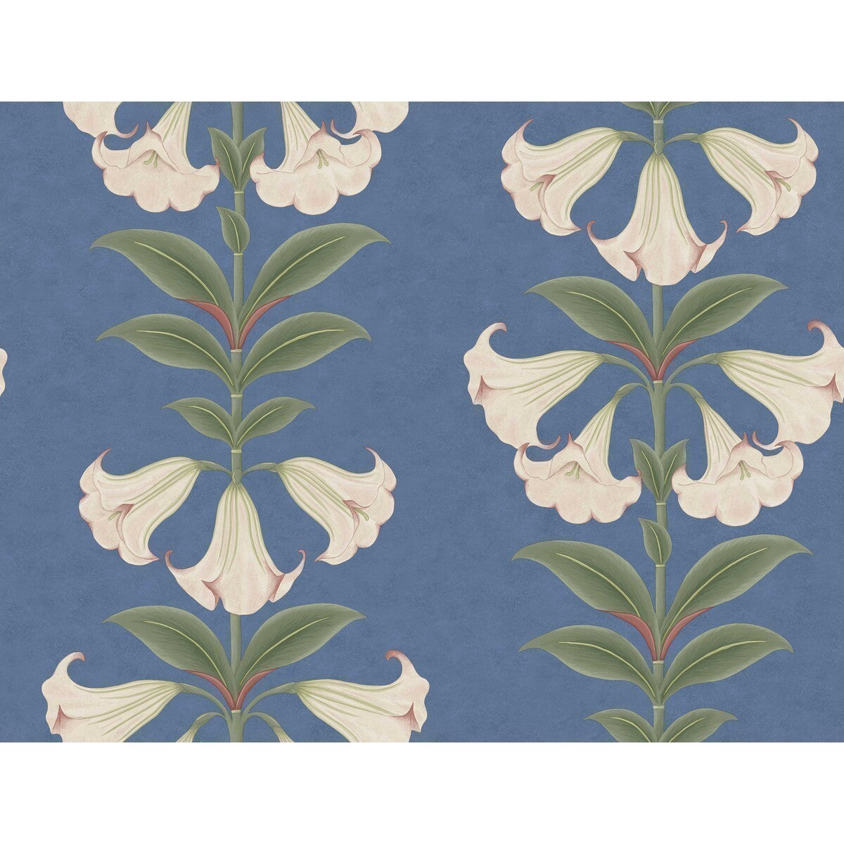 1173008cs0-angels-trumpet-ballet-slippersagec-sky-cole-son - COLE & SON Wallpaper