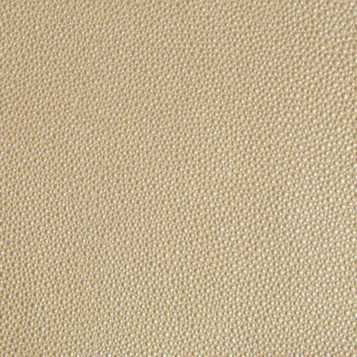 trezzo160-kravet-design-trezzo-16-kravet-design - KRAVET DESIGN Fabric