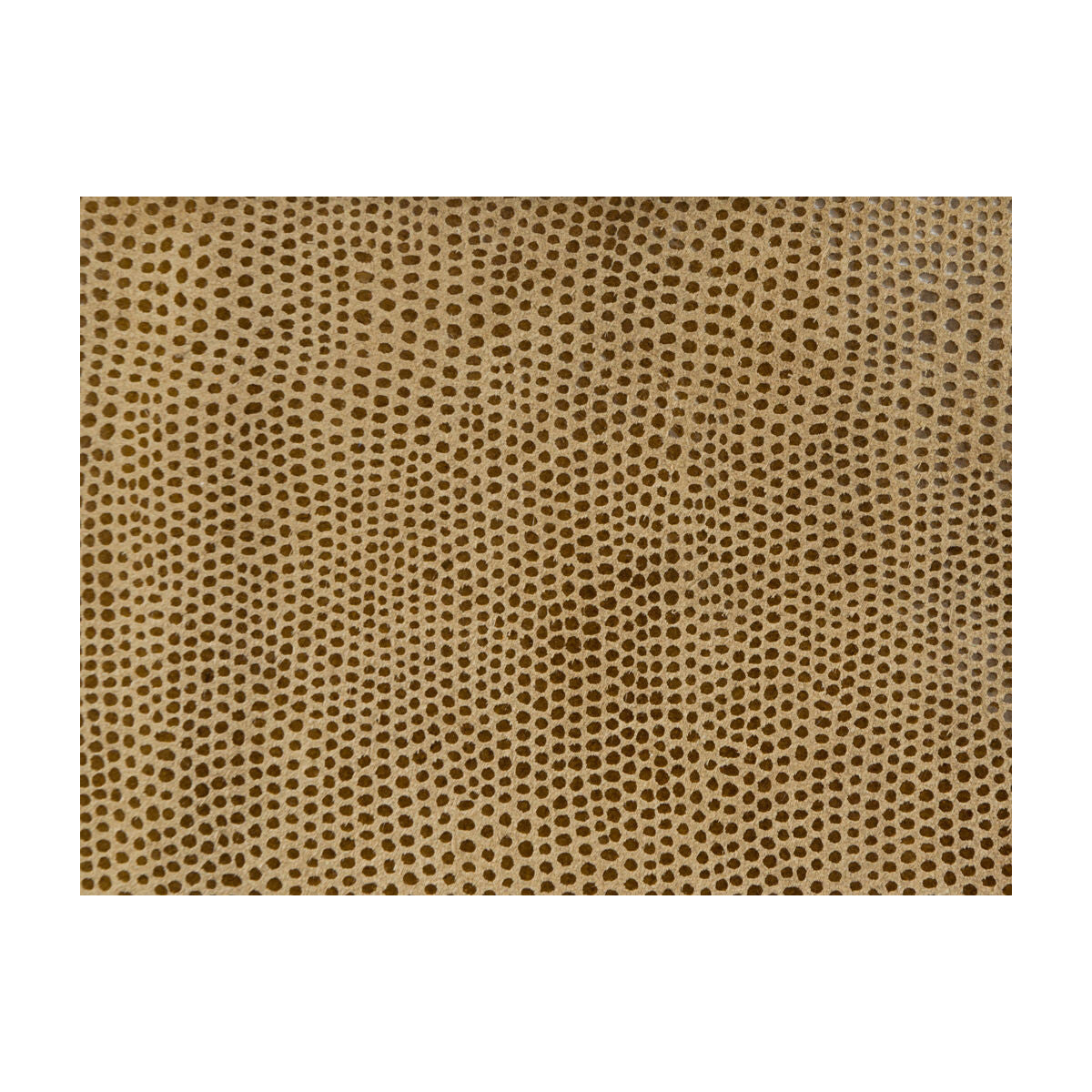 l-vavoomtawny0-l-vavoom-tawny-kravet-design